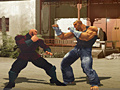Igra The Perfect Fighter
