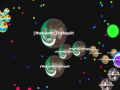 Igra Gota. io 