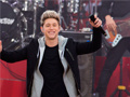 Igra Niall Horan: Spot The Differences