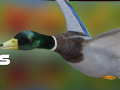 Igra Duck Hunter Autumn forest 