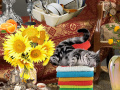 Igra Crazy Cat Lady