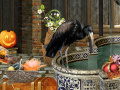 Igra The Witches Curse