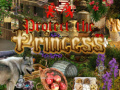 Igra Protect the Princess