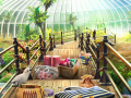 Igra Tropical World