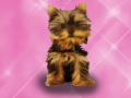 Igra Wash Pets Princess Kids    