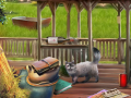 Igra Backyard Makeover