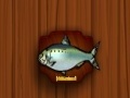 Igra Amateur Action Super Fishing