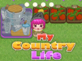 Igra My County Life
