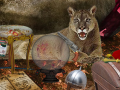 Igra The Secrets of Felwood