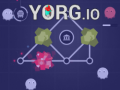 Igra Yorg.io