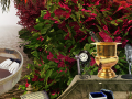 Igra The Prize Winning Garden