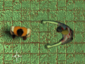 Igra Maze Of Infection
