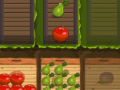 Igra Fruit Gardener
