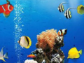Igra Sea Underwater Difference