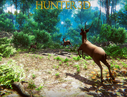 Igra Hunter 3D online.