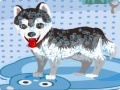 Igra My Cute Dog Bathing