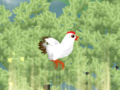 Igra Chickaboom