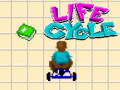 Igra Life Cycle