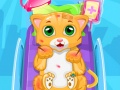 Igra Little Cat Doctor
