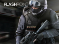 Igra Flashpoint