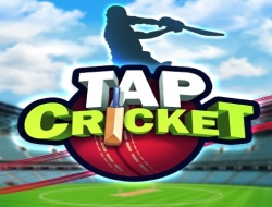 Igra Cricket cue  online.