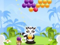 Igra Bubble Shooter Raccoon