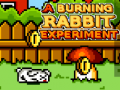 Igra A Burning Rabbit Experiment