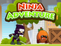 Igra Ninja Adventure