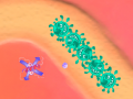 Igra Immunity Defense