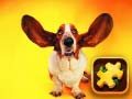 Igra Funny Dogs Puzzle