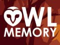 Igra Owl Memory