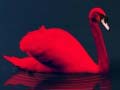 Igra Love Birds Puzzle