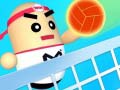Igra Amazing Volleyball