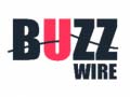 Igra Buzz Wire