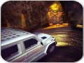 Igra Scary Car Driving Simulator