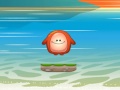 Igra Choly Waterhop