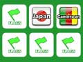 Igra Memory With Flags