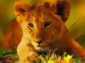 Igra Wild Baby Animals Jigsaw