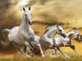 Igra Running Horse Slide