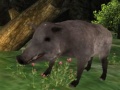 Igra Wild boar Hunting