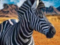 Igra Zebra Hunter