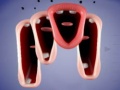 Igra Crazy Lips