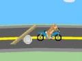 Igra Delivery Dog