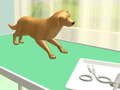 Igra Paw Care