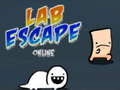 Igra Lab Escape Online