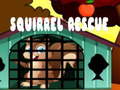 Igra Squirrel Rescue