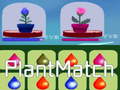 Igra Plant Match