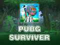 Igra PUBG Surviver