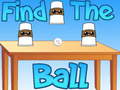 Igra Find The Ball