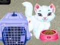 Igra Baby Taylor Pet Care